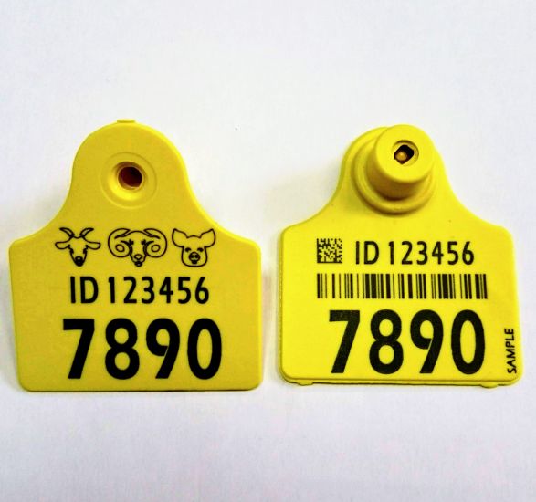 Ear tag 5050 for animal identification, 10 pairs 