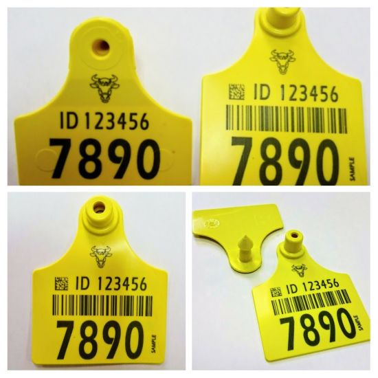 Ear tag 6178 - full certification by ICAR, 10 pairs (M+F)