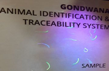Cattle passport for animal identification