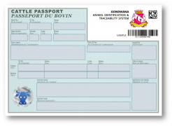 Cattle passport for animal identification